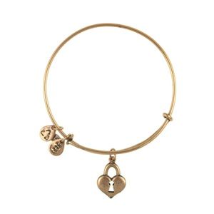 ✨SOLD✨ Alex and Ani bracelet